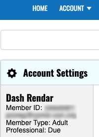 Professional Due Flag