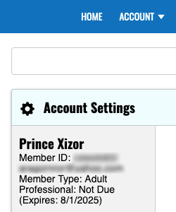 Professional Not Due Flag